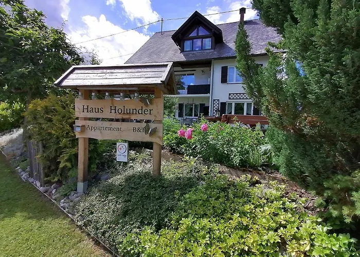 Haus Holunder Weissbriach