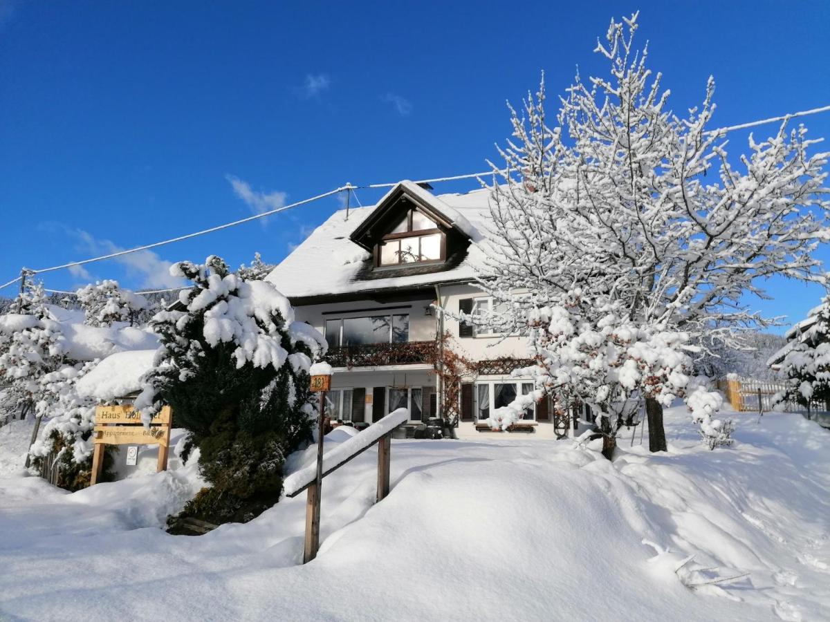 Haus Holunder Appartement